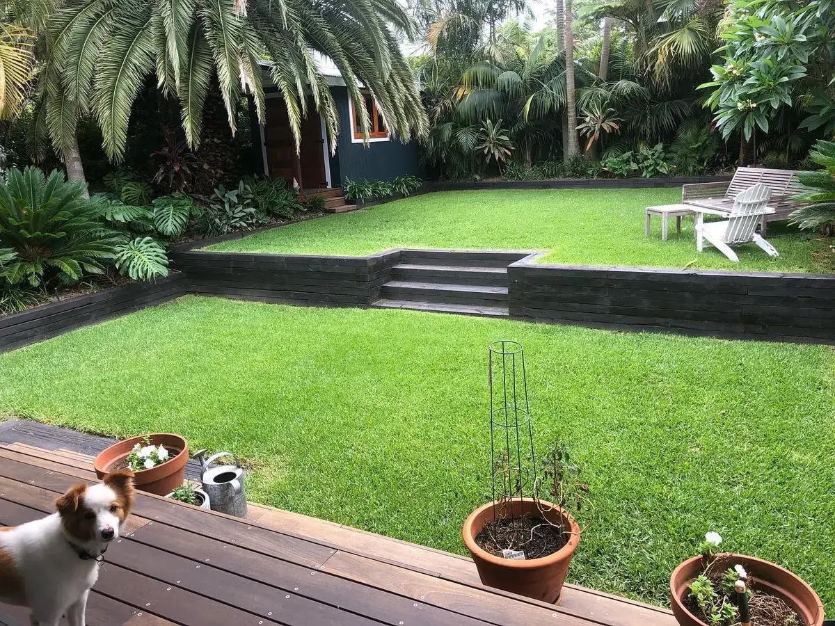 A finished residential garden with lawn, terraced steps, and layered planting