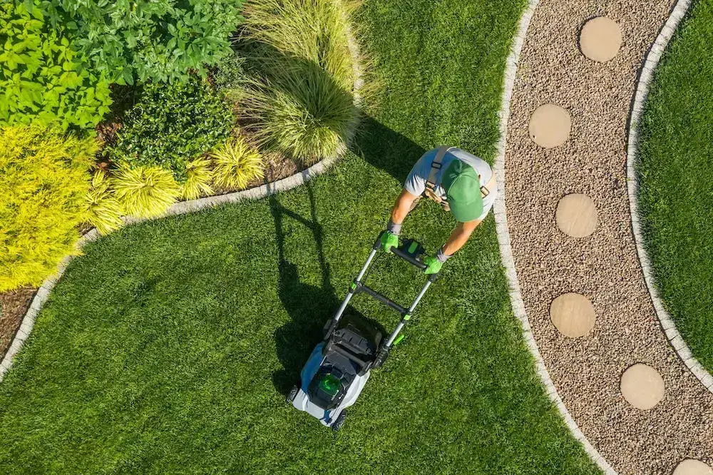 A landscaped lawn with curved garden borders and stepping stones