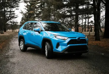 Blue sport utility vehicle parked on a tree-lined road